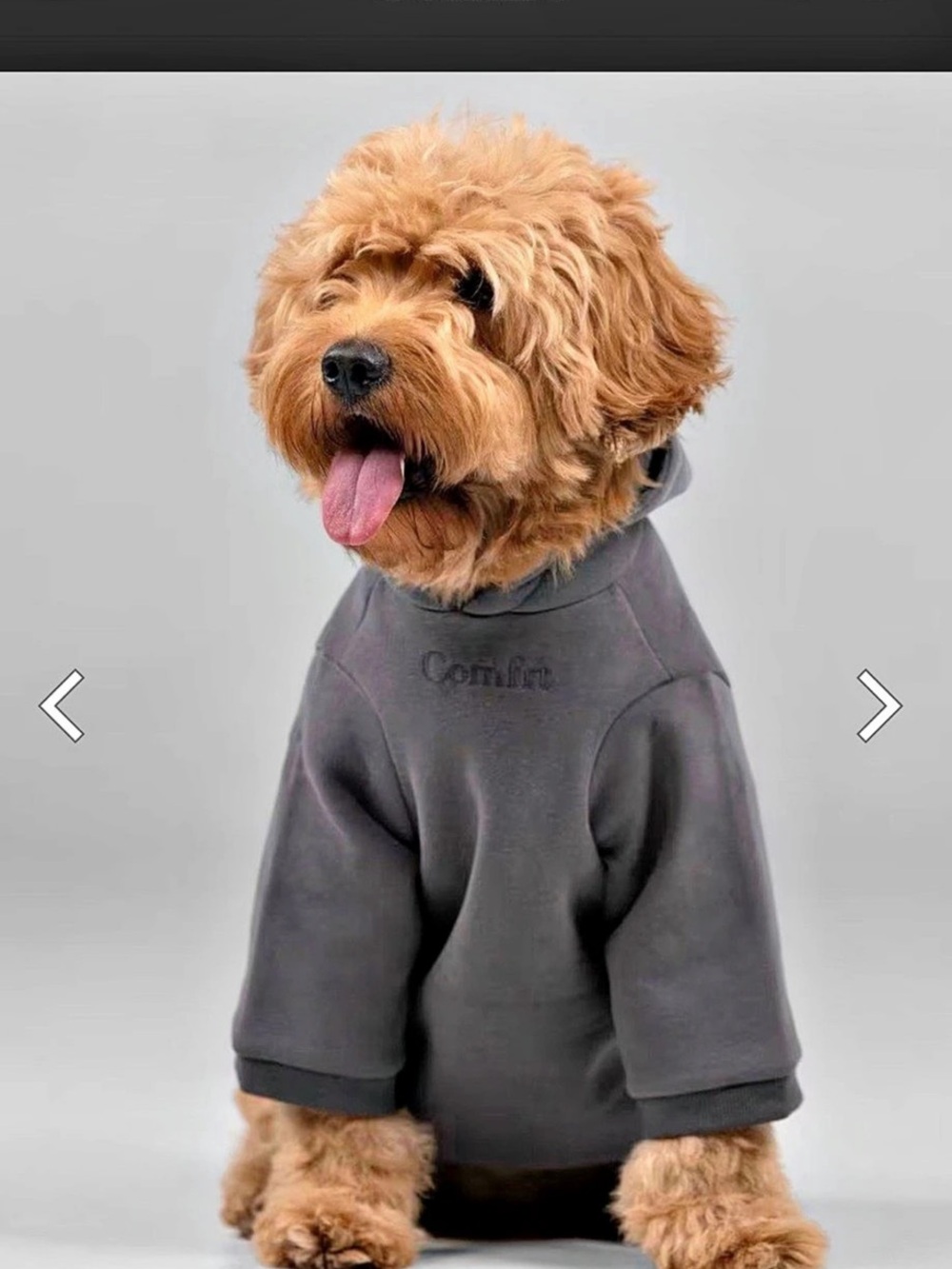 Comfrt Signature Paw Hoodie Gray Dog Hoodie